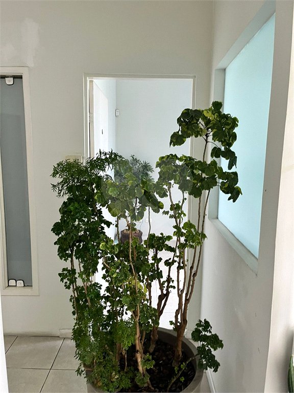 Casa à venda com 4 quartos em Jardim Oriental, São Paulo, SP