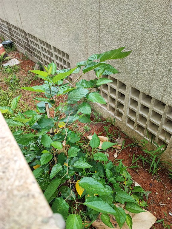 Apartamento Garden na Mooca com 322m² com 4 dormitórios 5 vagas Estuda Permuta