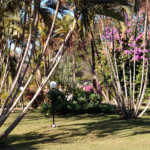 Chácara a venda no Parque Itaipu