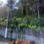 Terreno à venda em Serra da Cantareira, Mairiporã, SP