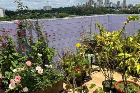 Cobertura à venda com 3 quartos, sendo 2 suítes,  em Bela Aliança, São Paulo, SP