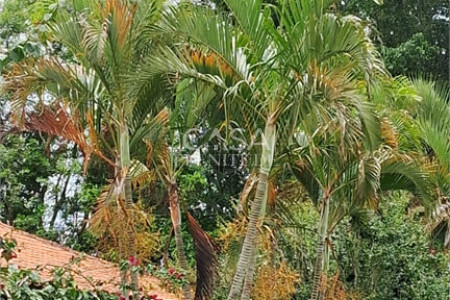 Chácara à venda com 4 quartos, sendo 1 suíte, em Zona Rural, Porangaba, SP