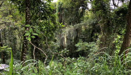 Terreno à venda no condomínio Gleba E1 E2, Mairiporã - SP