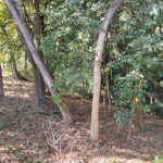 Terreno à venda em Loteamento Vale Azul I, Jundiaí, SP