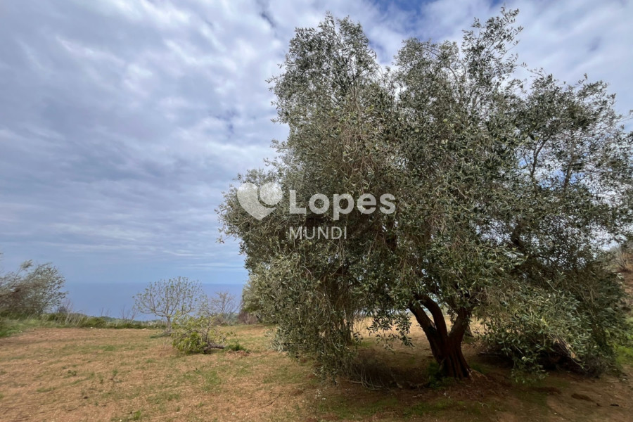 Terreno à venda em San Lucido, Cosenza, Itália – 1.700 m² e vista para o mar