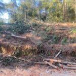 Terreno à venda no Centro (mailasqui), São Roque, SP