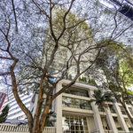 Apartamento à venda com 4 suítes em Paraíso, São Paulo, SP