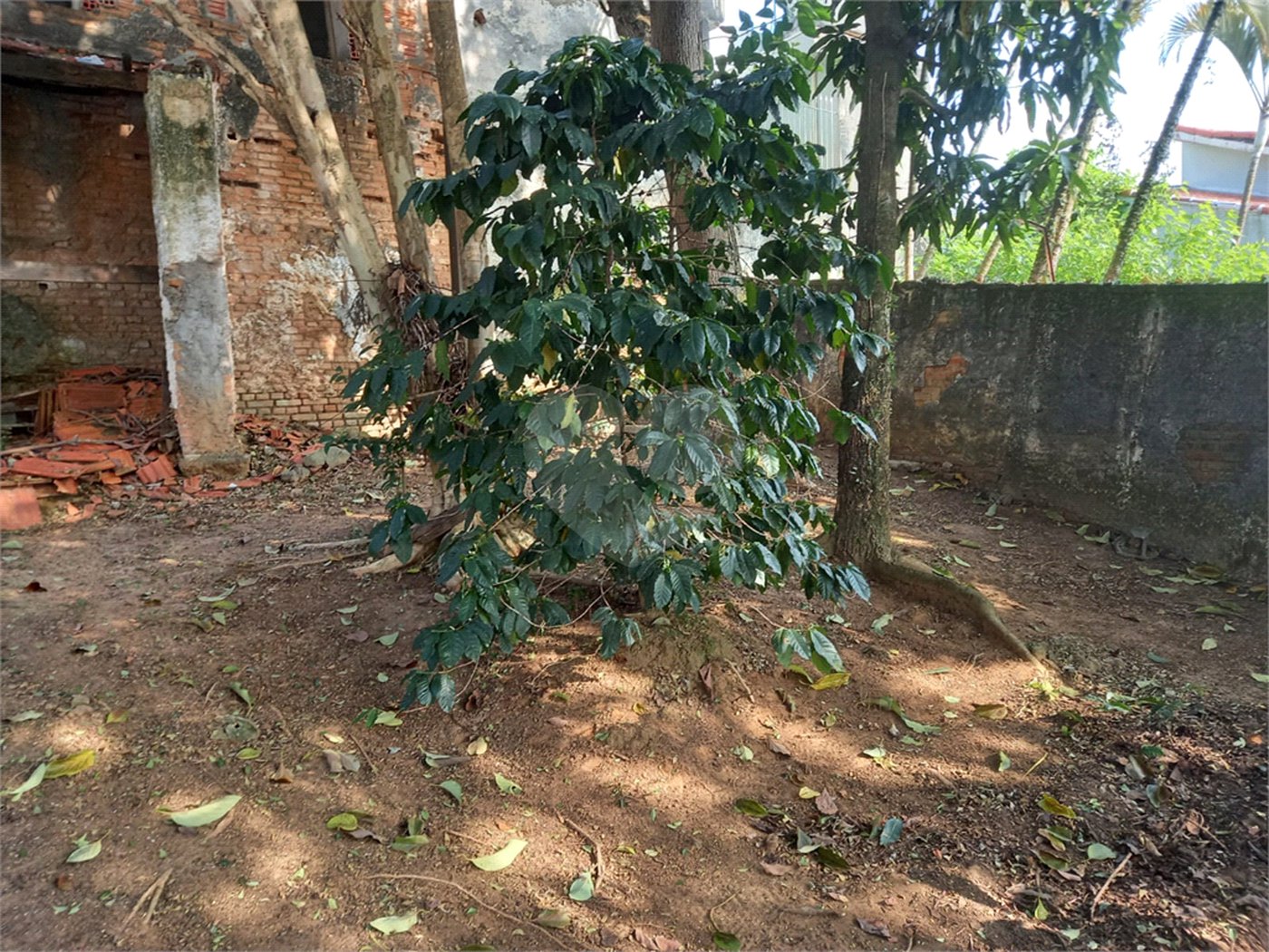 Casa à venda com 3 quartos, sendo 1 suíte, em Jardim França, São Paulo, SP