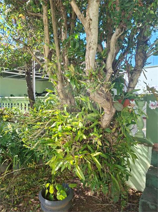 Casa Térrea à venda ou para alugar com 3 quartos, sendo 1 suíte, em Vila Sfeir, Indaiatuba, SP
