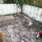 Casa à venda com 4 quartos em Vila Nova Cachoeirinha, São Paulo, SP