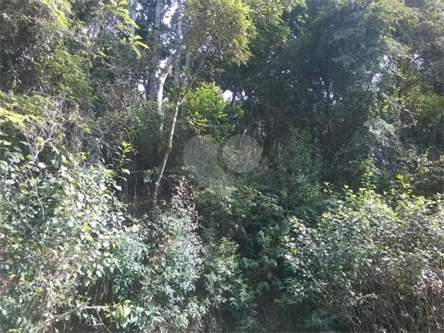 Terreno à venda em Serra da Cantareira, Mairiporã, SP