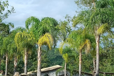 Chácara à venda com 2 quartos em Recanto das Acácias, São Roque, SP