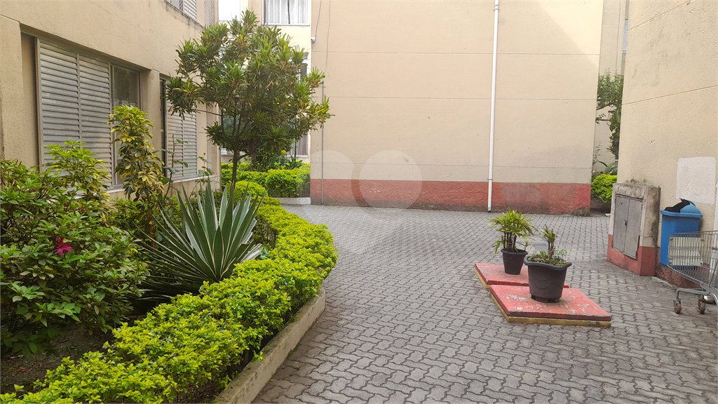 Apartamento à venda com 3 quartos em Jaçanã, São Paulo, SP