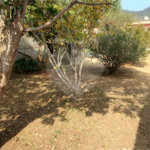 Casa à venda com 3 quartos, sendo 1 suíte, no Centro, Extrema, MG