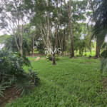 SÍTIO À VENDA EM ELIAS FAUSTO 21.900 m² - ÓTIMA TOPOGRAFIA E EXCELENTE LOCALIZAÇÃO