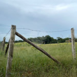 Terreno à venda em Parque Residencial Itapeti, Mogi das Cruzes, SP