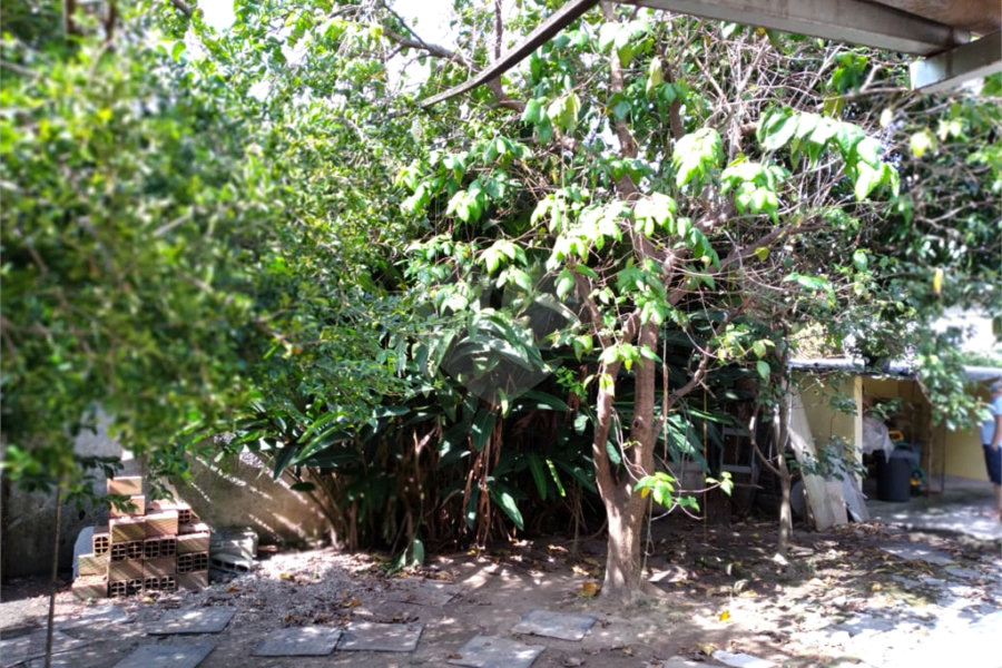 Terreno à venda com 1 quarto em Vila Mazzei, São Paulo, SP