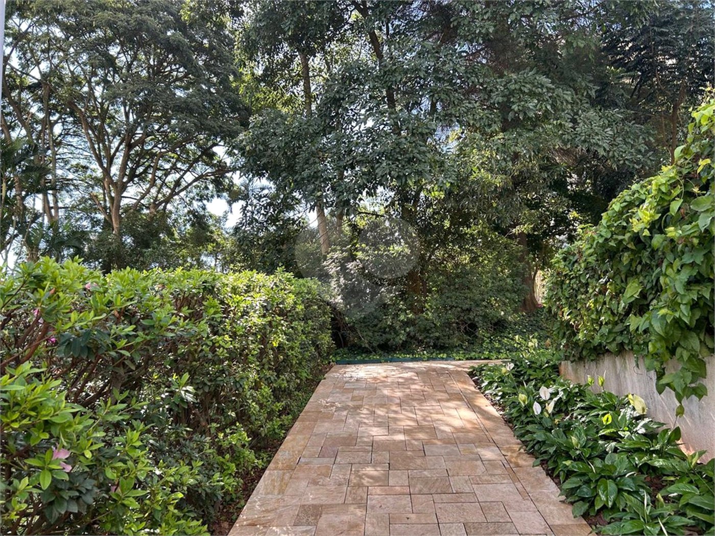 Apartamento à venda com 3 quartos em Vila Suzana, São Paulo, SP