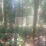 Terreno à venda em Dos Finco, São Bernardo do Campo, SP