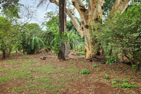 Chácara à venda com 2 quartos em Jardim Califórnia, Araraquara, SP
