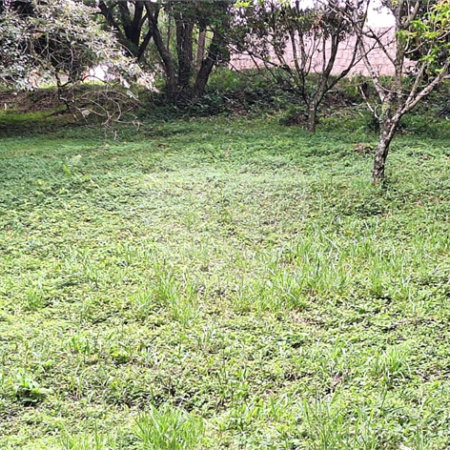 Terreno à venda em Marambaia, Vinhedo, SP