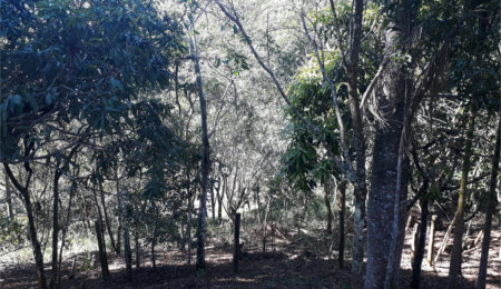 Sítio à venda com 9 quartos, sendo 7 suítes, no Centro, Monteiro Lobato, SP