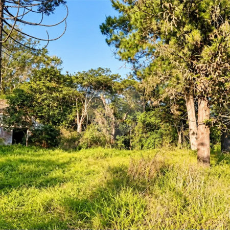 Terreno à venda em Interlagos, São Paulo, SP