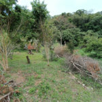 Casa à venda com 3 quartos, sendo 1 suíte, em Jardim Caparelli (mailasqui), São Roque, SP