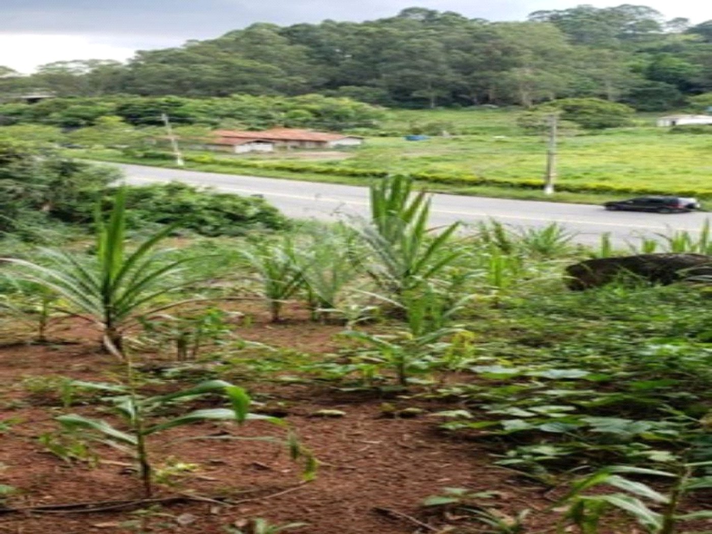 Terreno à venda em Horto, São Paulo, SP