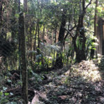 Terreno à venda em Roseira, Mairiporã, SP