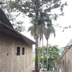Casa à venda com 4 suítes em Jardim Floresta, São Paulo, SP