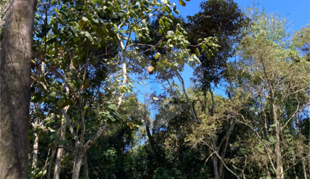 Terreno à venda no condomínio Suíça da Cantareira, Mairiporã - SP