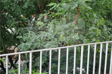 Apartamento à venda com 3 quartos, sendo 1 suíte, em Vila Paulicéia, São Paulo, SP