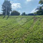 Terreno à venda no condomínio Santa Teresa, Itupeva - SP
