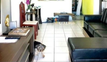Apartamento à venda com 2 quartos em Aclimação, São Paulo, SP