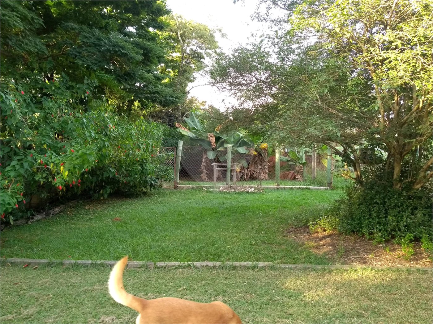 Chácara à venda em Altos da Bela Vista, Indaiatuba, SP