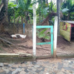 Chácara à venda com 2 quartos, sendo 1 suíte, em Jardim Saltense, Salto, SP