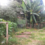 Terreno à venda em Tucuruvi, São Paulo, SP