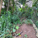 Loteamento à venda em Jardim Amália, São Paulo, SP