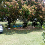 Chácara à venda com 5 quartos, sendo 2 suítes,  no Centro, Sarapuí, SP
