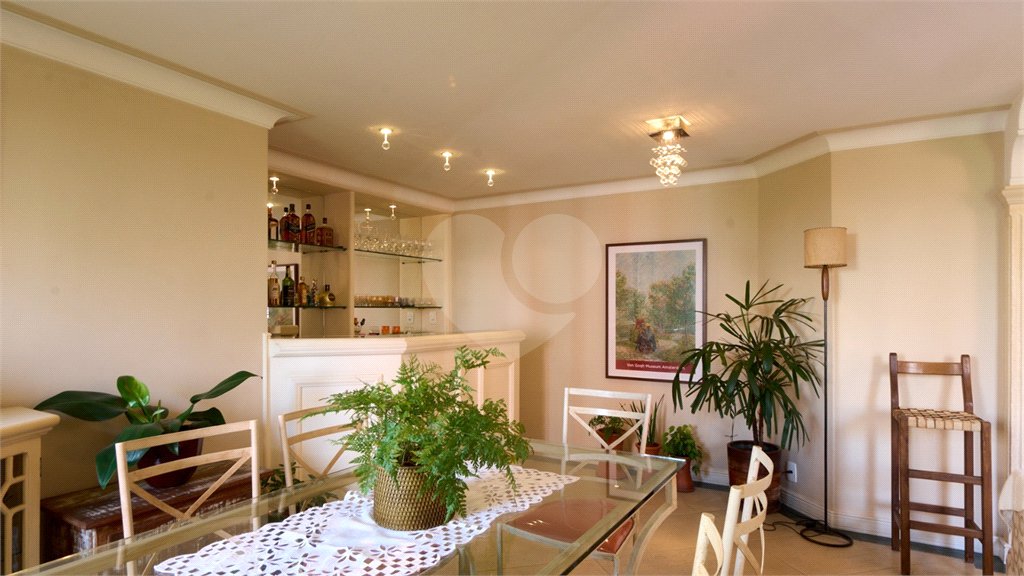 Apartamento à venda com 4 quartos, sendo 2 suítes, em Vila Mascote, São Paulo, SP