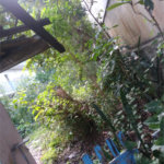 Terreno à venda em Jaçanã, São Paulo, SP