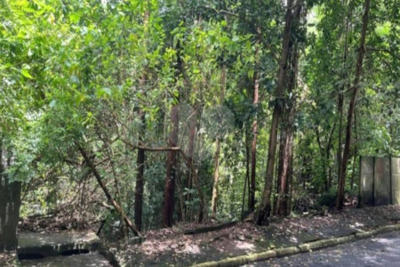 Terreno à venda em Jardim Ampliação, São Paulo, SP