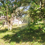 Chácara à venda com 5 quartos, sendo 1 suíte, em Estância São Luís, Suzano, SP