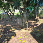 Terreno à venda no Centro, Vinhedo, SP