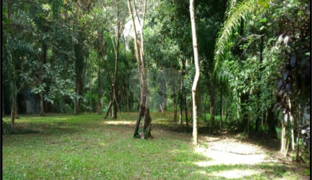 Terreno à venda em Jundiaizinho (terra Preta), Mairiporã, SP