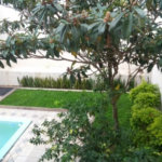 Casa à venda com 4 quartos, sendo 3 suítes,  em Jardim Leonor, São Paulo, SP
