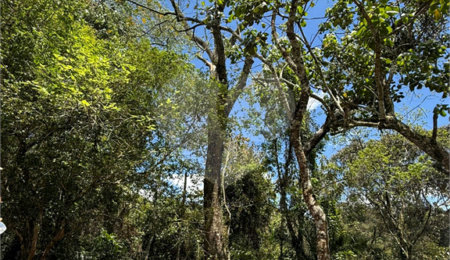 Terreno à venda no condomínio Alpes da Cantareira, Mairiporã - SP