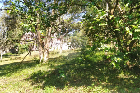 Chácara à venda com 5 quartos, sendo 1 suíte, em Estância São Luís, Suzano, SP