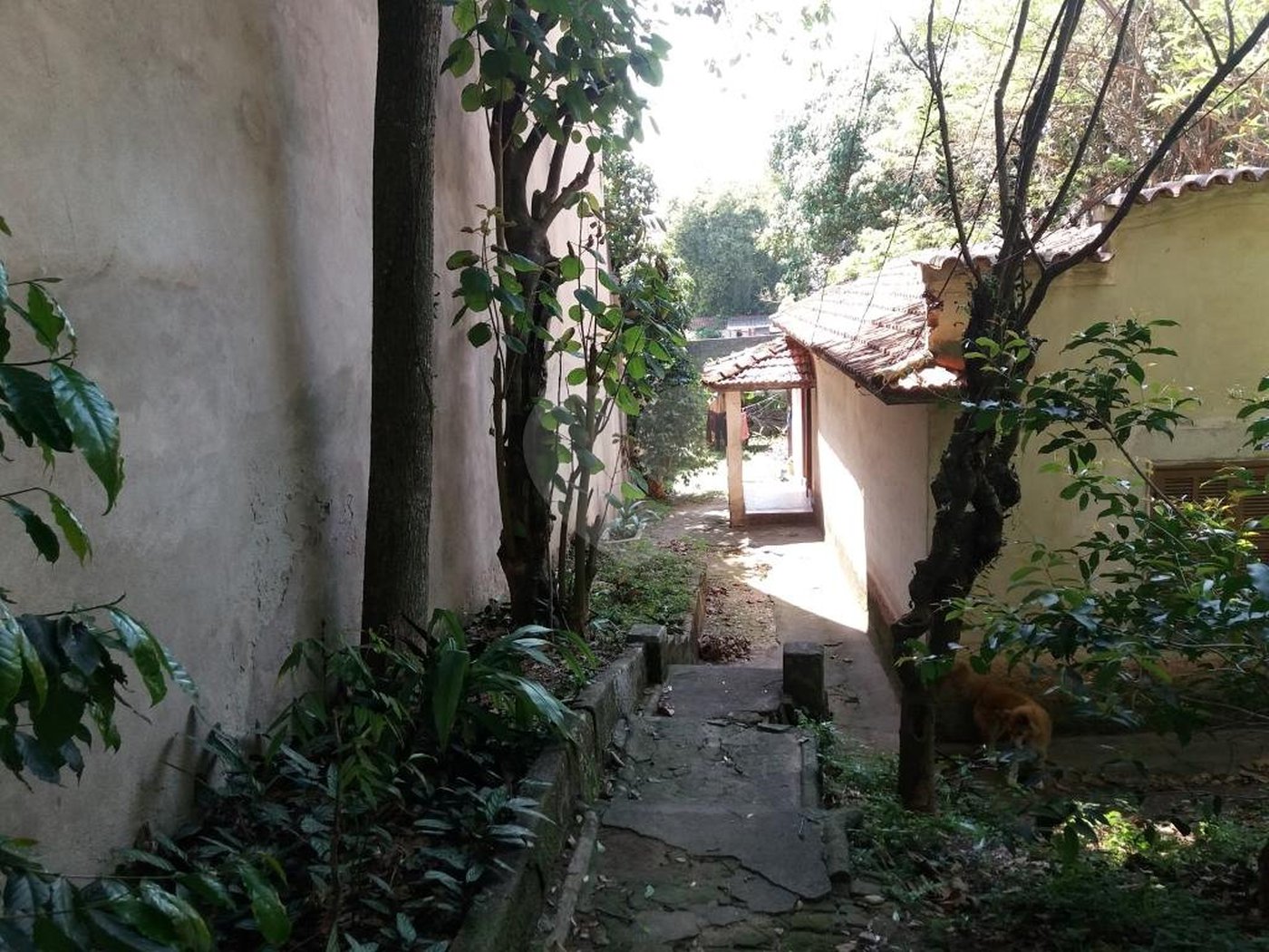 Casa à venda com 2 quartos em Jardim Floresta, São Paulo, SP
